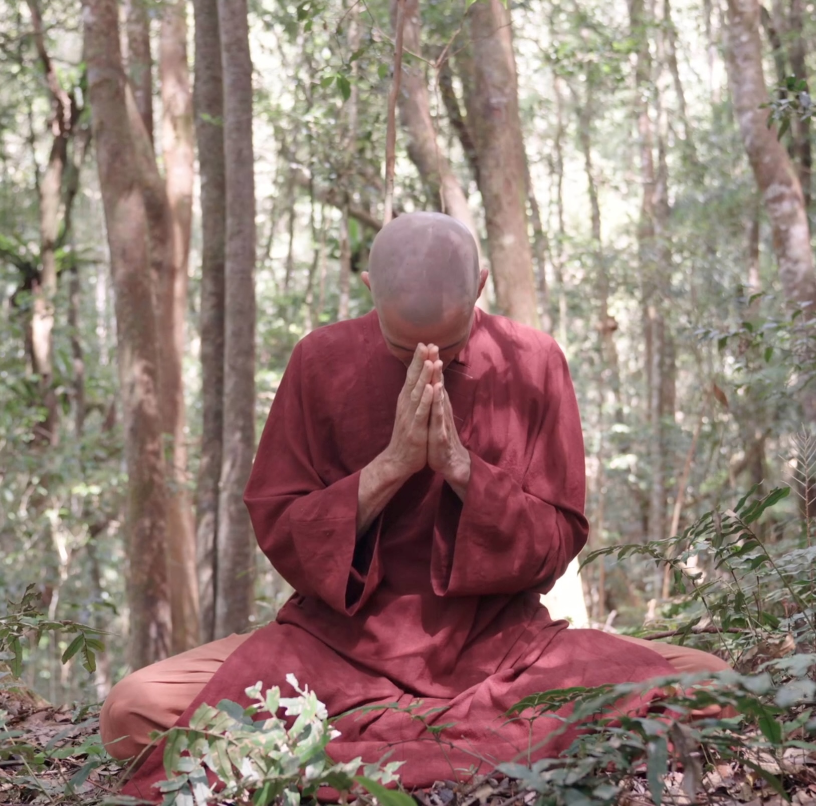 Ven. Ngawang Tenzin at Gaia Forest